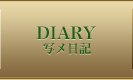 写メ日記